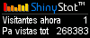 Visitas web
