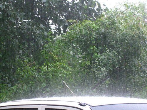 monsoon rain