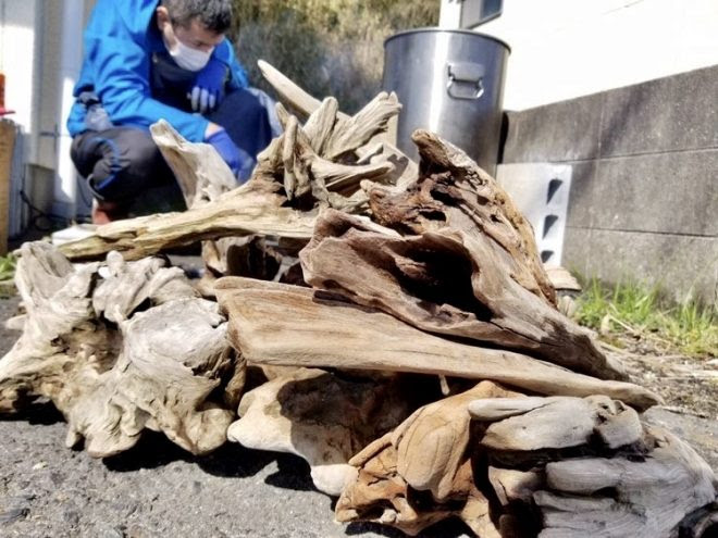 人物 土に帰ることのできない木たちに愛をこめて 国産の淡水流木にこだわる流木師 流木屋 地 つち 上田 徹さん 兵庫県尼崎市 キワメテ 水族館