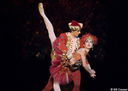 The Firebird/Stravinsky The Firebird by Igor Stravinsky