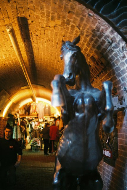 Horse