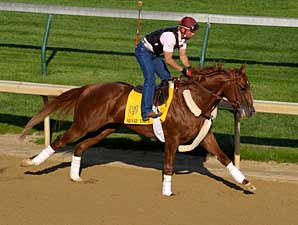 Square Eddie is one of five Kentucky Derby contenders that meet the ...
