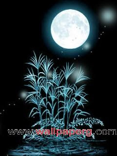 Download Beautiful Nature Night 3d Abstract Wallpaper Mobile Version