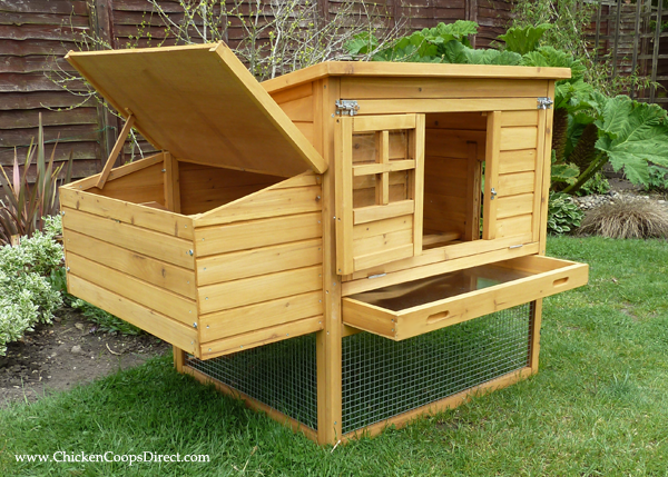 Chicken Coop Dorset