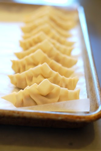 First row of potstickers by Eve Fox, Garden of Eating blog, copyright 2012