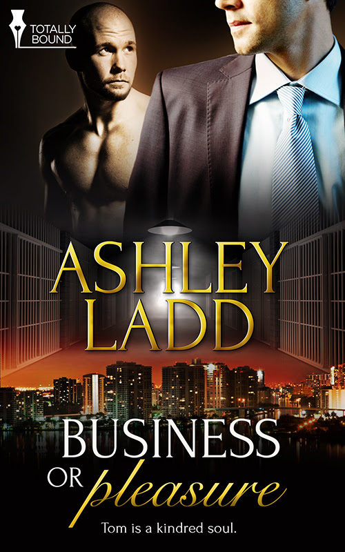 Business Pleasure - Book Cover