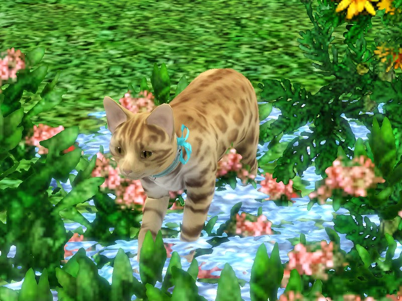 Screenshot-2990