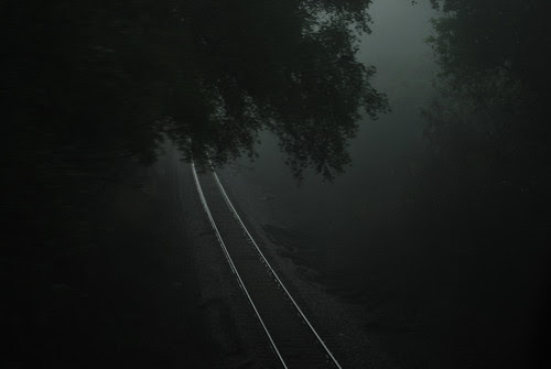 Shadow of the fog...
