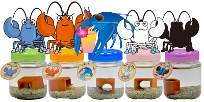 ザリガニ Petit Aqua プチアクア 神畑養魚株式会社