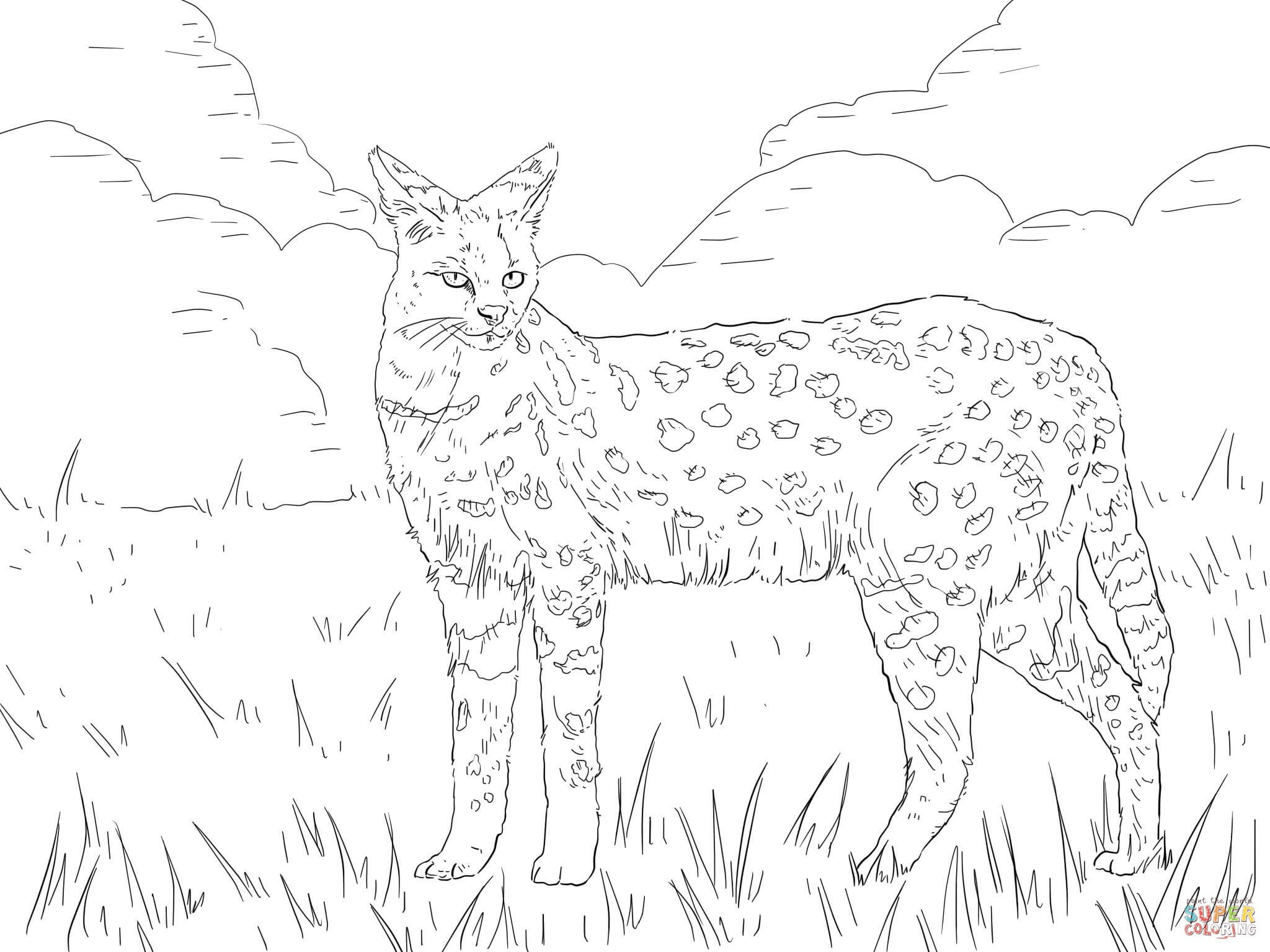 Download African Wild Dog Coloring Page at GetColorings.com | Free ...