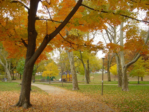 clark park