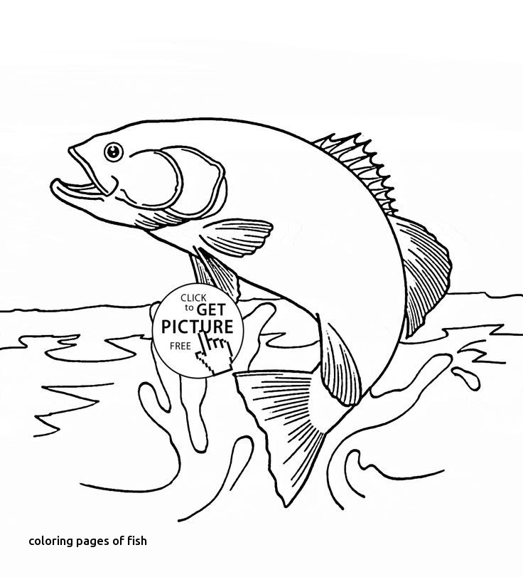 Splash Coloring Pages at GetColorings.com | Free printable ...