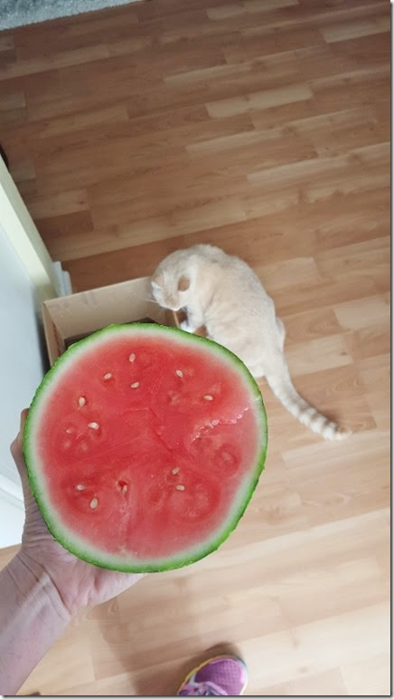 two of my favorite things (450x800)