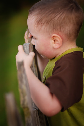 The Grass is Always Greener...