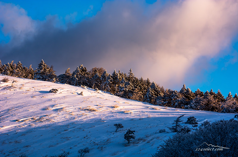 長野県の冬景色 ビーナスラインで朝の日射しと雪景色を