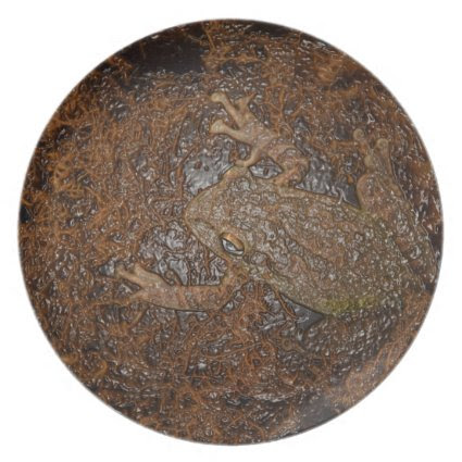 frog on moss embossed look plate