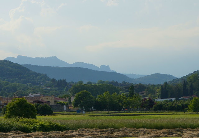 DSC01223 - Version 2