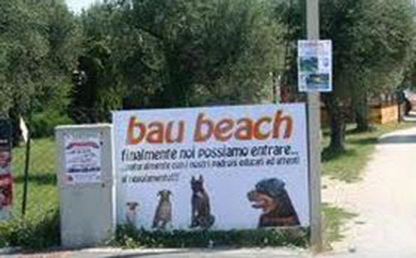 Dog Island Forum Zone Dedicate Ai Cani Quartu Santelena