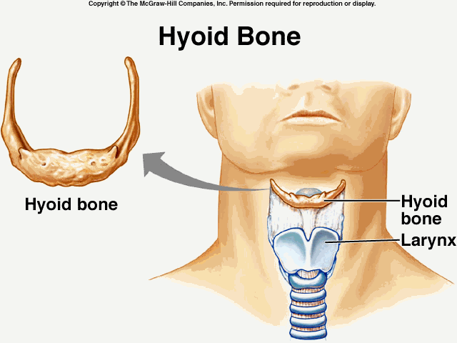 Disorders Of The Tongue