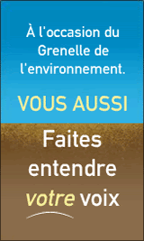 Noé ou L'écologie PARTICIPATIVE