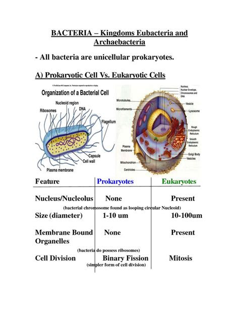 images   grade cells  pinterest