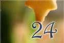 22_dia_24