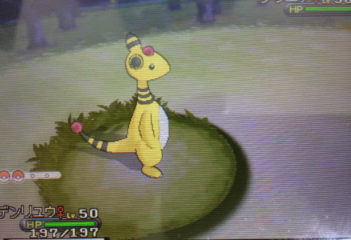 ポケモンxy メガデンリュウ用のデンリュウ育成論 ファイアロー対策 夢に向かって ポケモンブログ