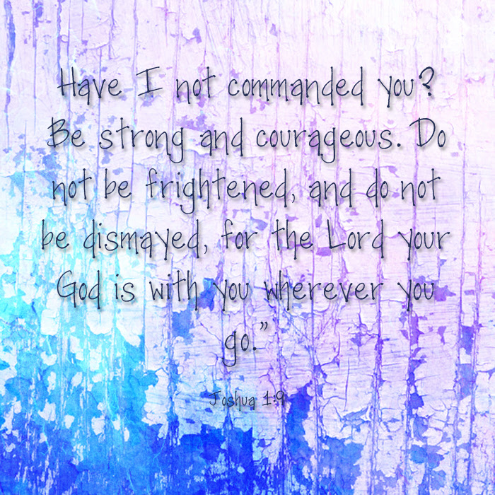 josh19