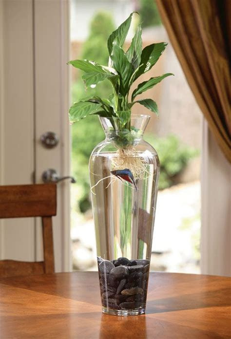 creative aquariums  tiny ideas home design
