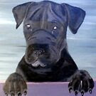 Black Dog by shearart