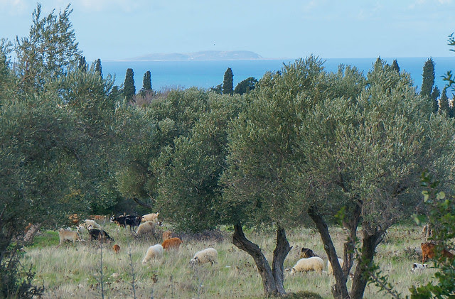 Kos, Greece-115.jpg