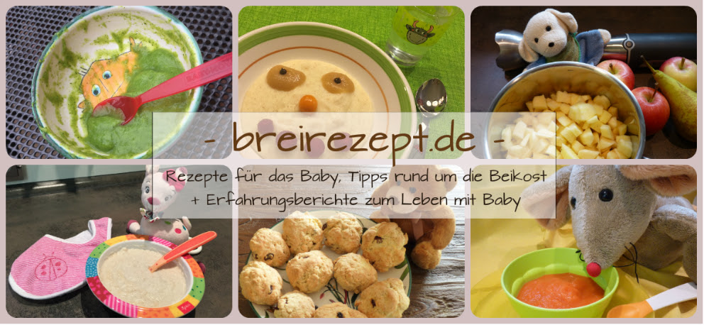 Beikost richtig einführen mit Babybrei & breifreien Rezepten
