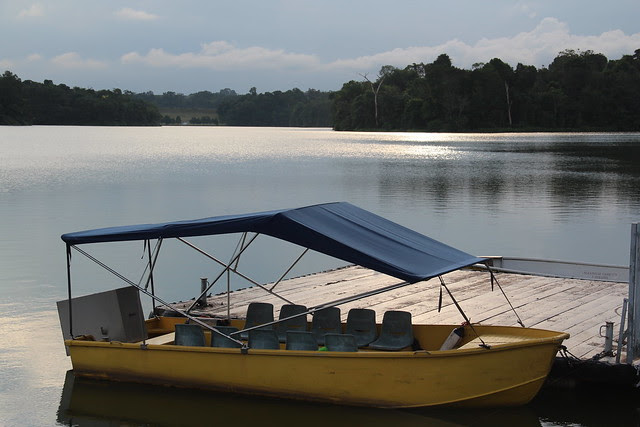 Peirce Reservoir
