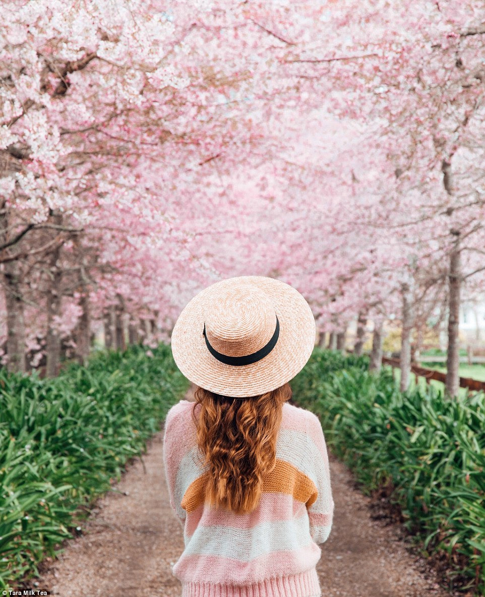 The young woman, from Sydney, said she fell in love with travelling when she got her first taste of Asia growing up