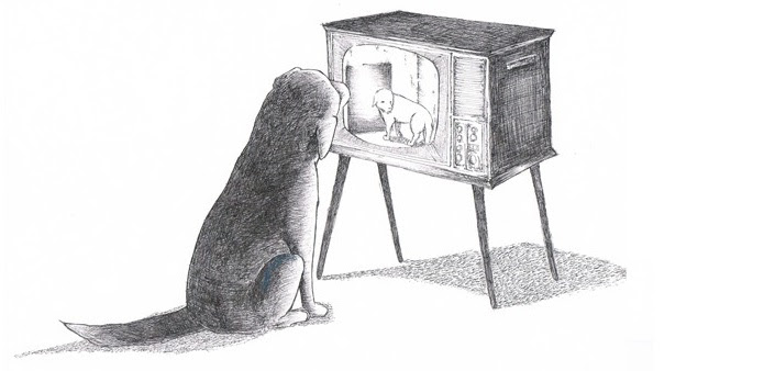 ある犬のおはなし 動画