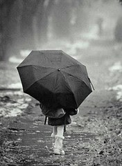 Alone in the rain