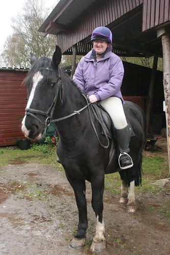 'Rebel' - Barend Riding Stables