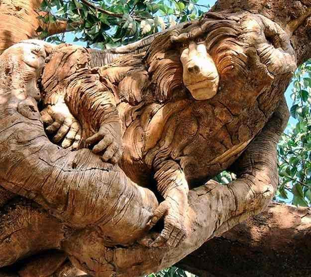 Dont miss these picz Animal Tree amazing