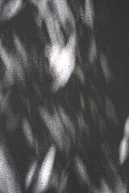 shadows, sw 2nd & clay