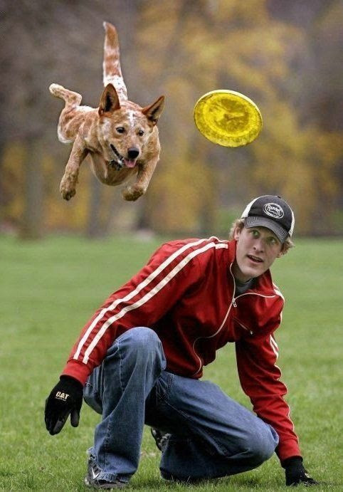 WOW!!! Amazing shots (52 pics)