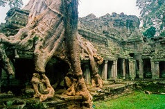 Angkor, Cambodia