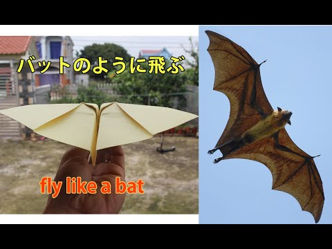紙飛行機 志多木ドットネット Itのことお気軽にお問い合わせください 0 236 3195