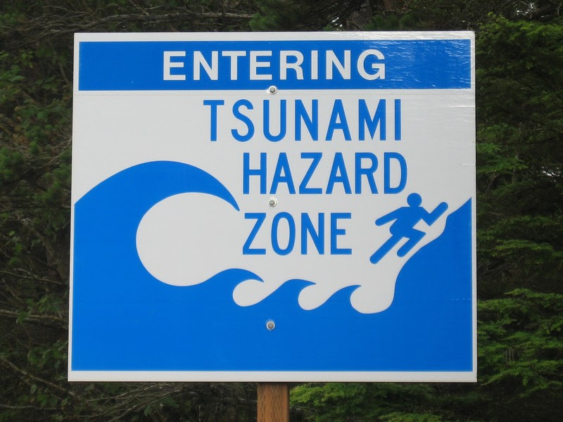 Be Prepared, Always: The Tsunami Message From New Zealand ...
