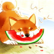 柴犬 犬 なにこれかわいい Pixiv年鑑 B