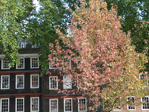 l'automne dans Inner temple