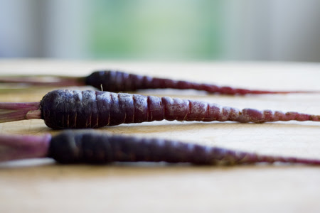 Purple Carrots (6)
