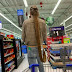 Walmart Sign In App / Whether you’re traveling for business, pleasure or something in between, getting around a new city can be difficult and frightening if you don’t have the right information.