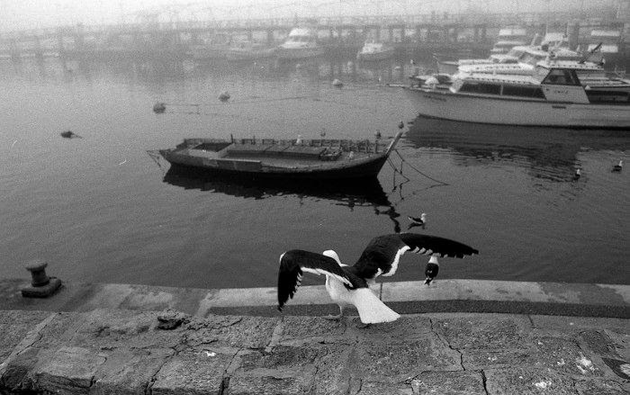  photo 201412009_zpsbaa9e98a.jpg