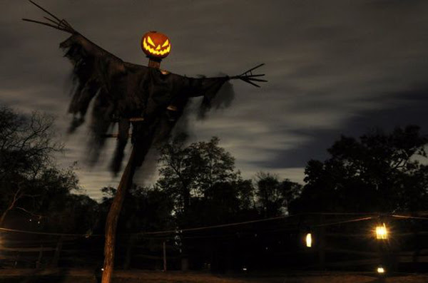 25 Cool And Scary Halloween Decorations | HomeMydesign