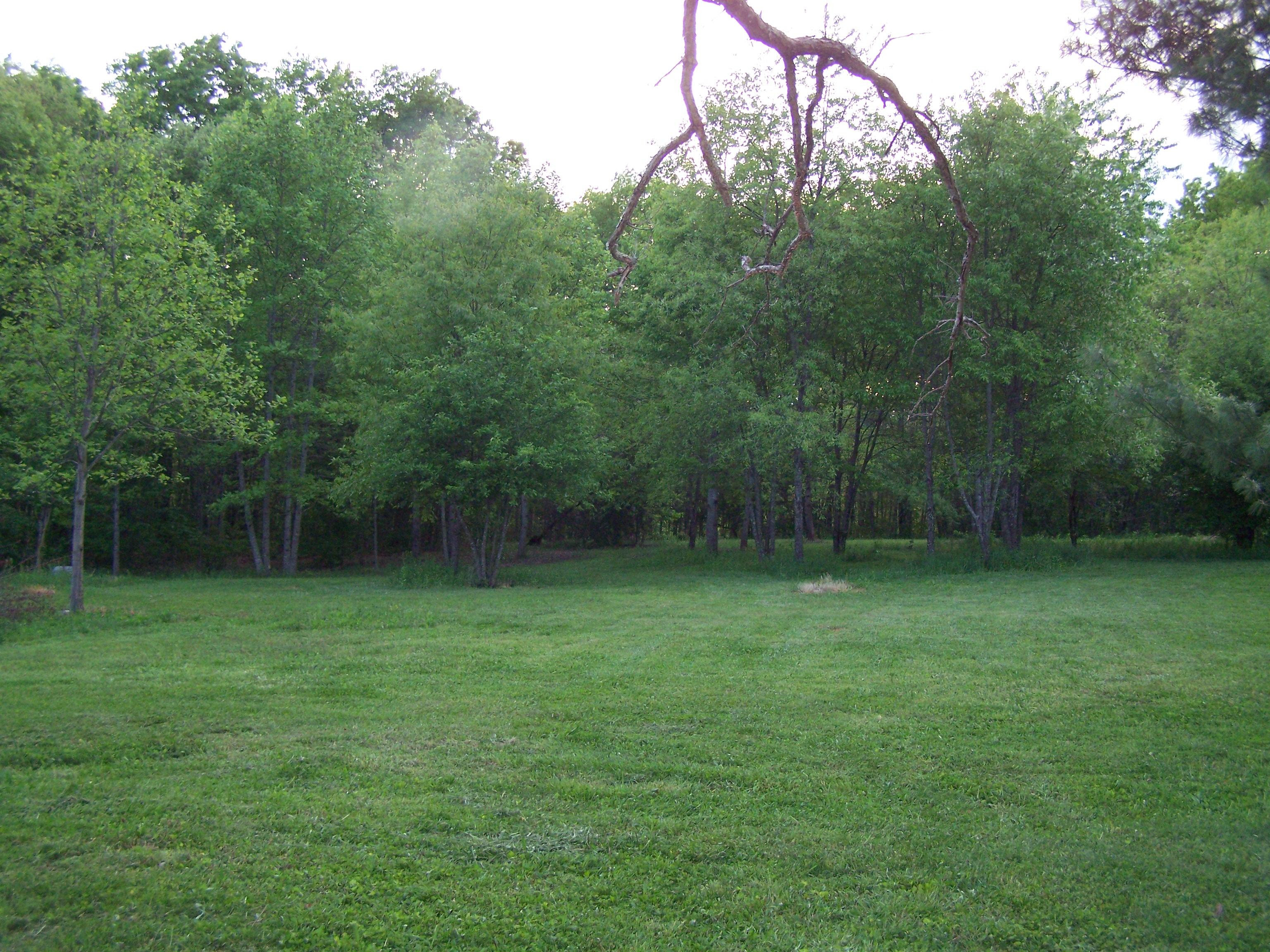 Ideas for Landscaping Acreage | Frugal Gardening Momma